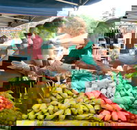 Newrybar Farmers Market - New South Wales Tourism 
