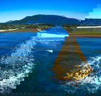 Taste De France Bakery  Cafe - New South Wales Tourism 