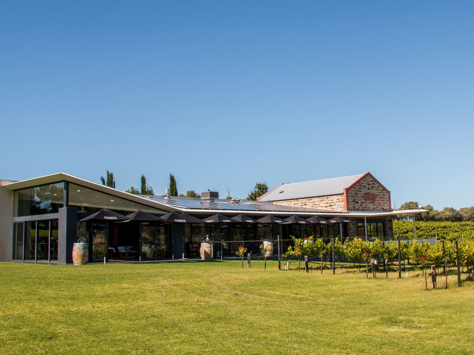 Mclaren Vale SA New South Wales Tourism 