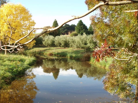 Cradle Coast Olives - New South Wales Tourism  0