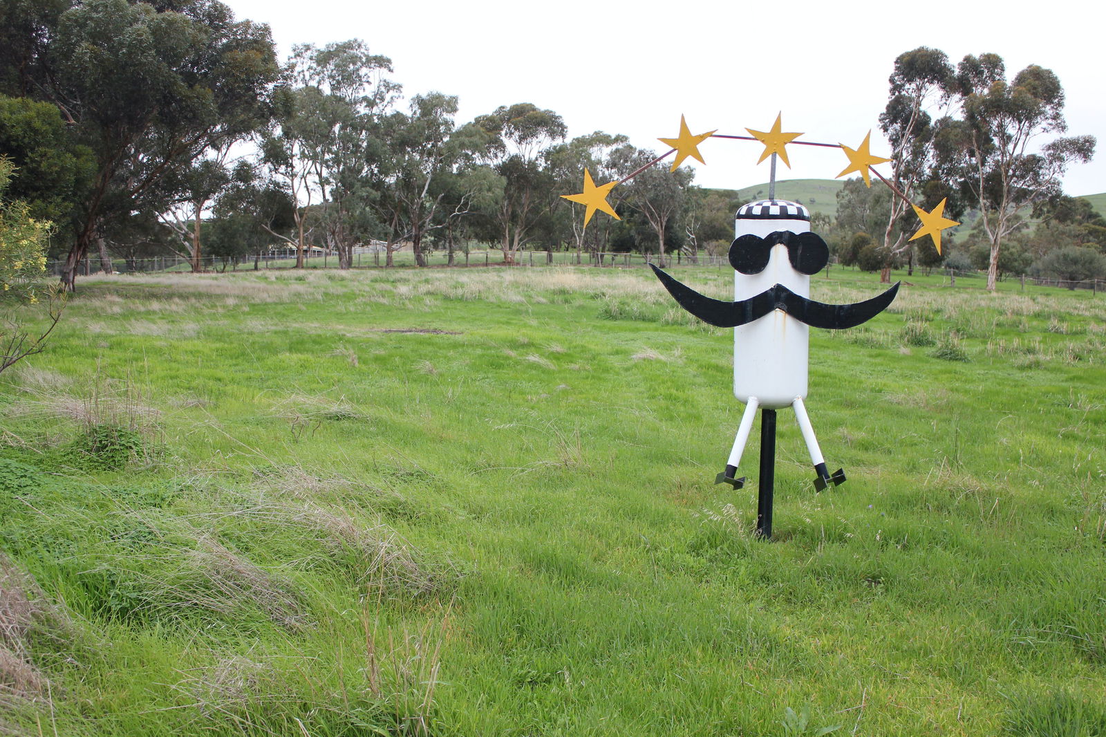 Pages Flat SA New South Wales Tourism 