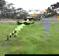 Heard it on the Grapevine - New South Wales Tourism 