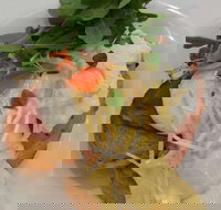 Vida Espresso - New South Wales Tourism 