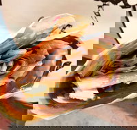 What the Flip - New South Wales Tourism 