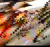 Cafe at the Hyatt Regency Perth - New South Wales Tourism 