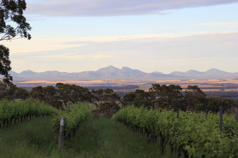Castle Rock Estate Winery - New South Wales Tourism  0