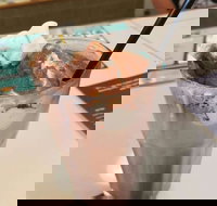 Coffee Mentality - Albion - New South Wales Tourism 