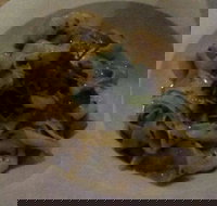 Emerald Village Bakery  Cafe - New South Wales Tourism 