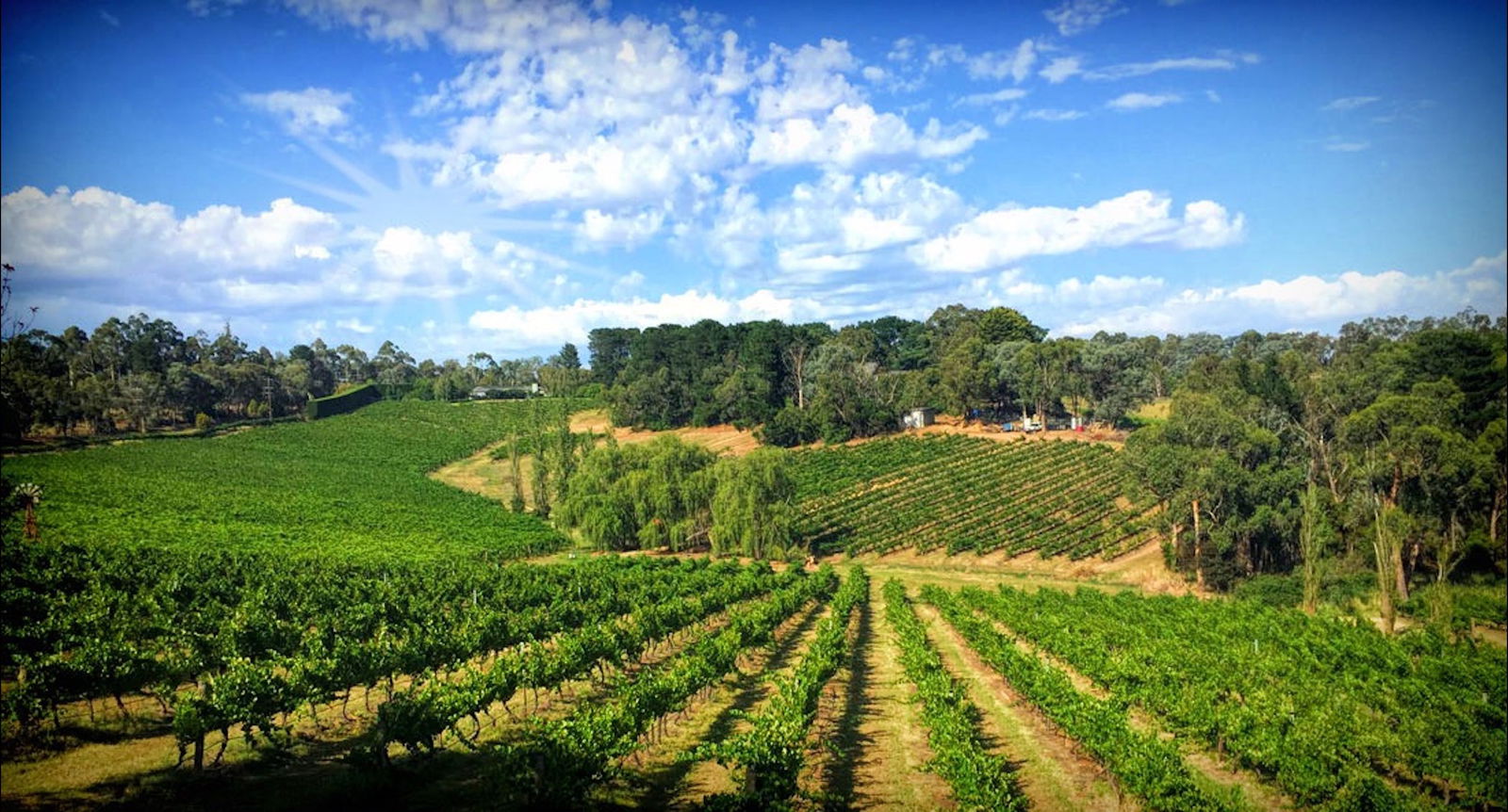 Eastern Melbourne VIC New South Wales Tourism 