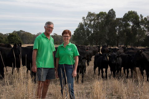 Milawa Organic Beef - New South Wales Tourism  0