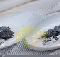 Moxhe - New South Wales Tourism 