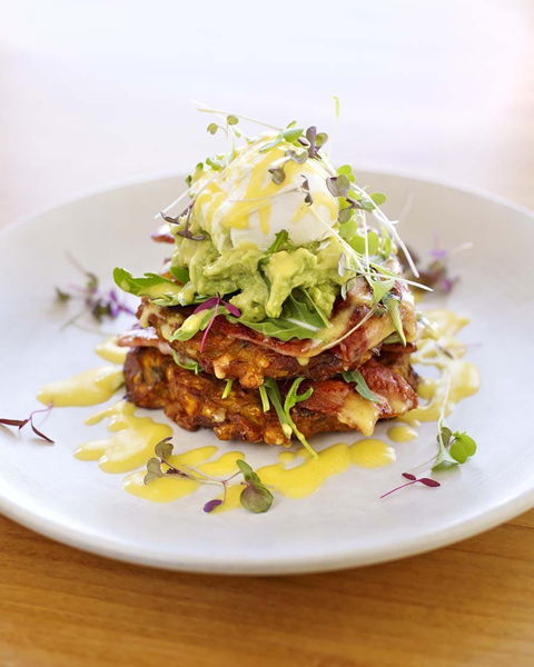North Point Cafe - New South Wales Tourism  0