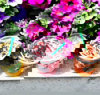 Starbucks - Hurstville - New South Wales Tourism 