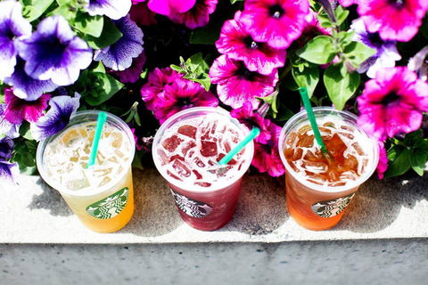 Starbucks - Hurstville - New South Wales Tourism  0