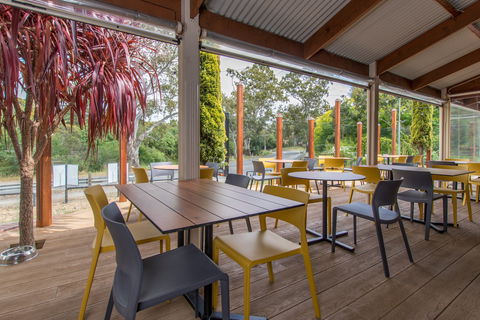 The Duck - New South Wales Tourism  1