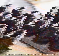 Botanica - Red Hill - New South Wales Tourism 