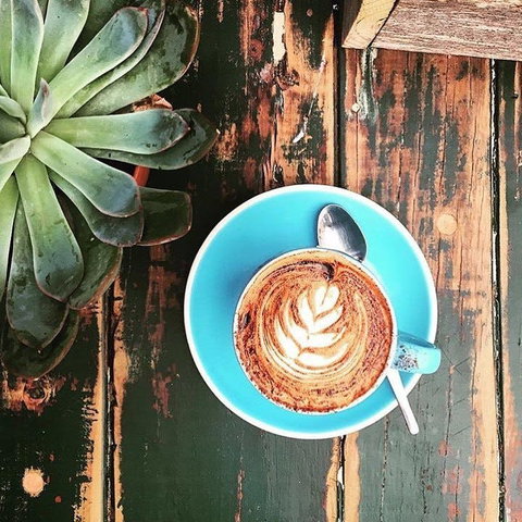 Charlotte's Little Sister - Eveleigh - New South Wales Tourism  0