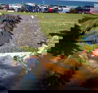 Fish House - New South Wales Tourism 