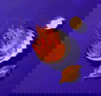 House Bar - New South Wales Tourism 