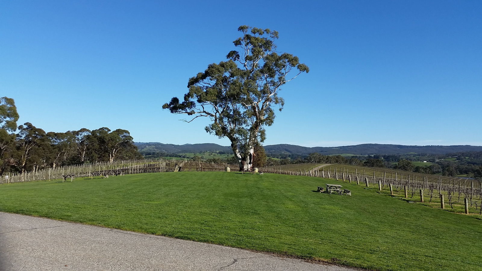 Balhannah SA New South Wales Tourism 