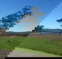 Nepenthe Wines - New South Wales Tourism 