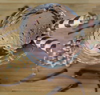 PN's Daily Scoop - New South Wales Tourism 