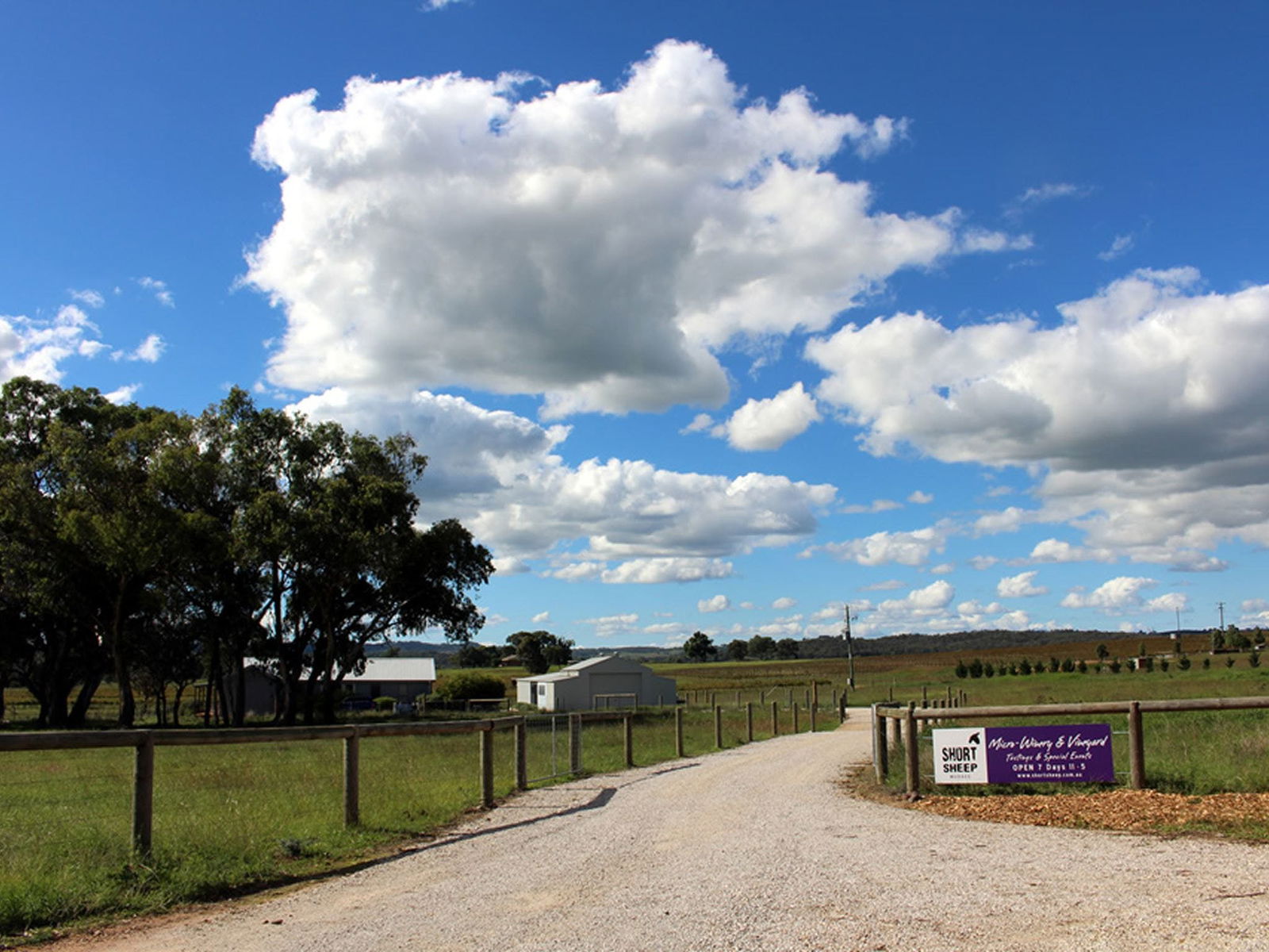 Mudgee NSW New South Wales Tourism 