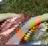 Yuri Sushi - New South Wales Tourism 