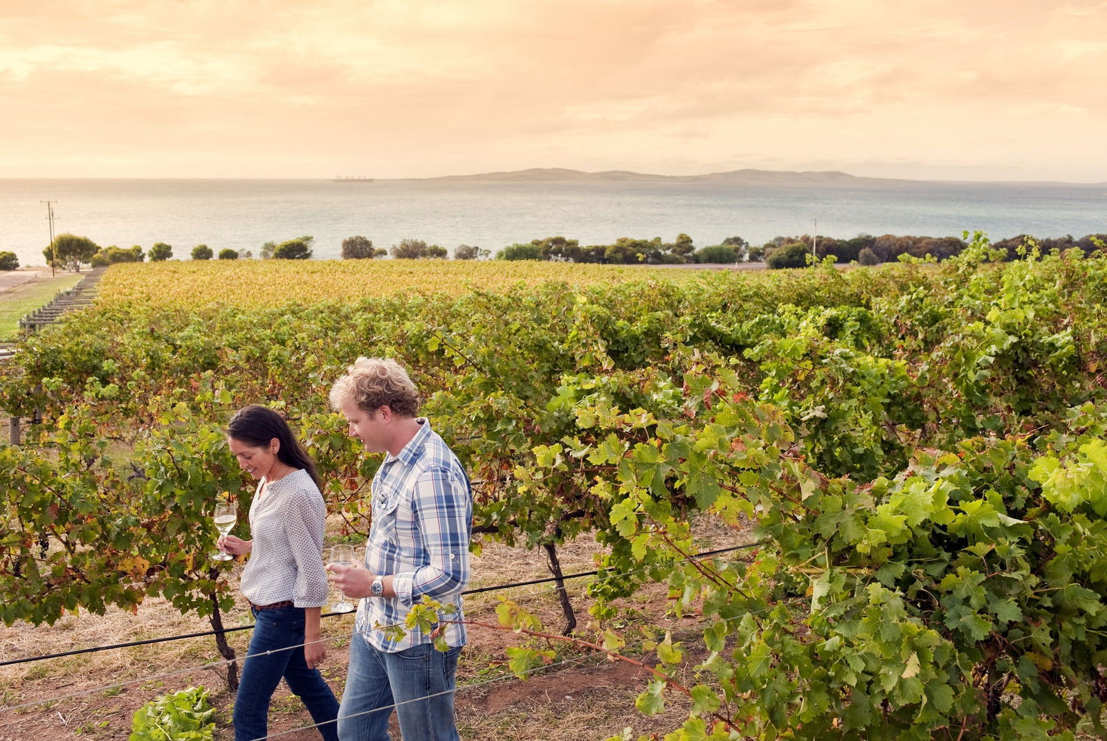 Warrow SA New South Wales Tourism 