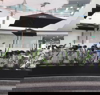 D Cafe - New South Wales Tourism 