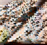 Eat Istanbul - Glebe - New South Wales Tourism 