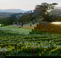 Granite Hills Winery - New South Wales Tourism 