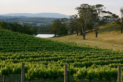 Granite Hills Winery - New South Wales Tourism  0
