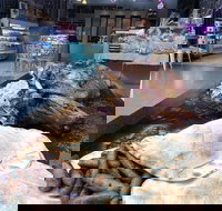 Grandpas Lebanese Food - New South Wales Tourism 