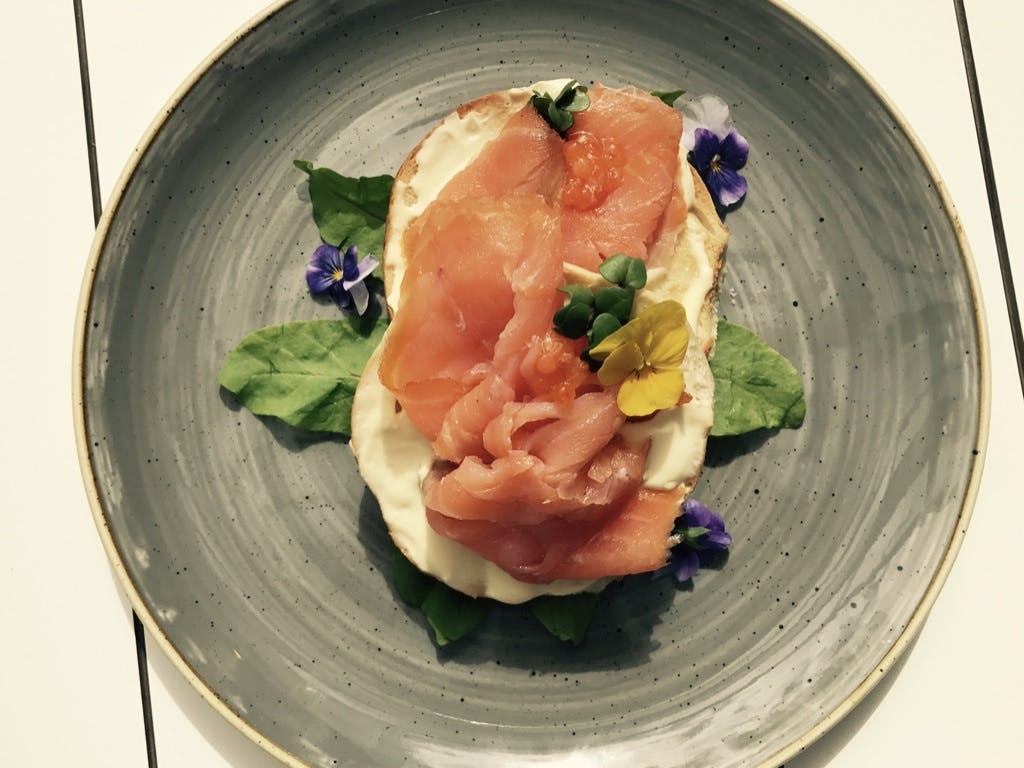 Hammondville NSW New South Wales Tourism 