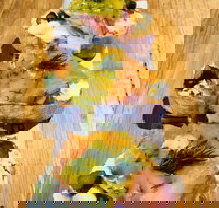 Paesano Hampton Park - New South Wales Tourism 