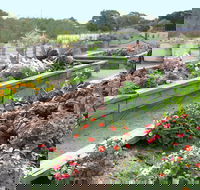 The Farmer's Place - New South Wales Tourism 