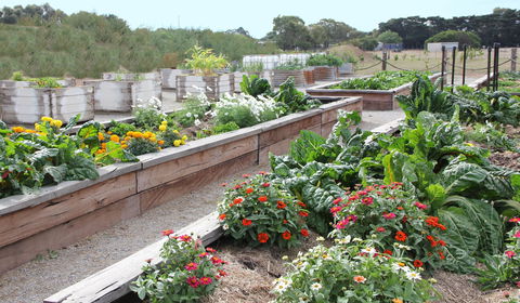 The Farmer's Place - New South Wales Tourism  0