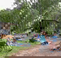 The Pop Inn by Wine Bar Co. - New South Wales Tourism 