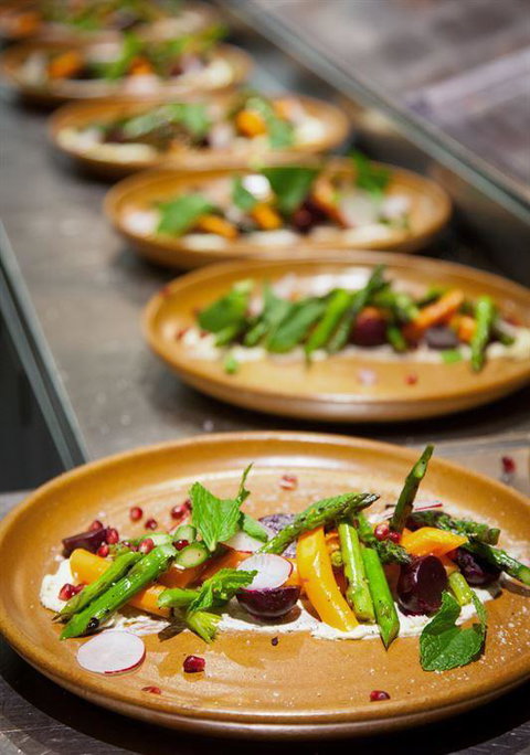 Romulus & Remus - New South Wales Tourism  4