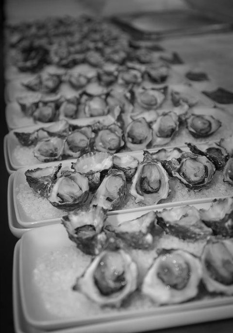 Romulus & Remus - New South Wales Tourism  5