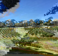 Cherrytime Orchard - New South Wales Tourism 