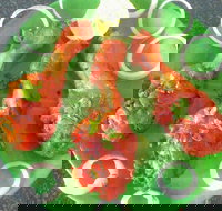 Coconut Lagoon Indian Cuisine - New South Wales Tourism 