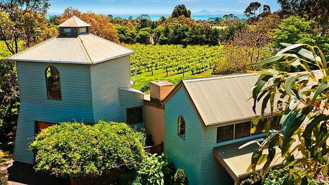 Curlewis Winery - New South Wales Tourism  0