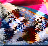 Donut King - Sunshine - New South Wales Tourism 