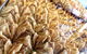 Hawat Pastry - thumb 0