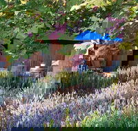 Macquariedale Organic Wines - New South Wales Tourism 