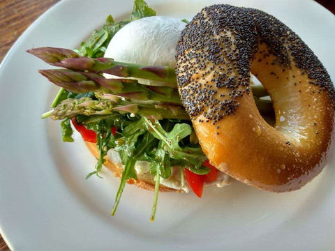 North Cafeteria - New South Wales Tourism  0