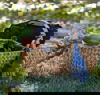 Rowlee Wines Picnic Hamper - New South Wales Tourism 