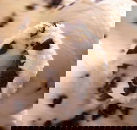 Royal Copenhagen Ice Cream - Glebe - New South Wales Tourism 